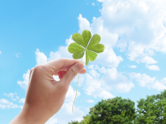 四つ葉のクローバー